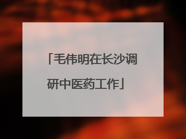 毛伟明在长沙调研中医药工作
